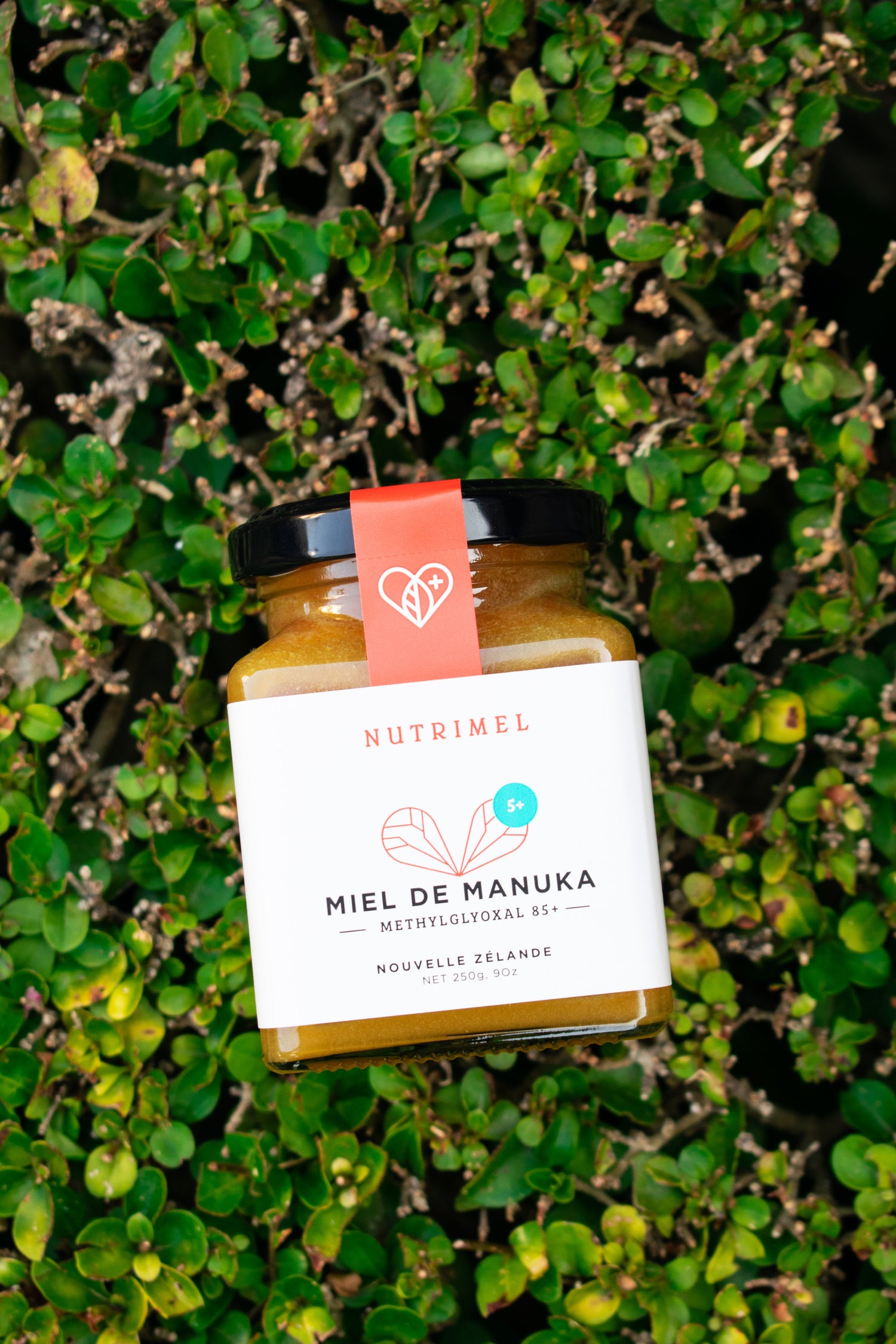 Miel de Manuka 5+ (MGO 85+)