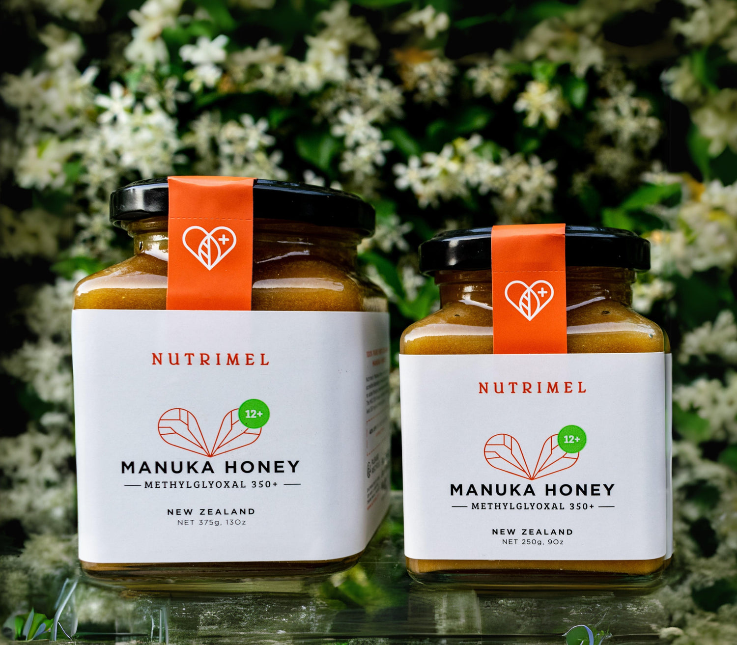 Manuka Honey 12+