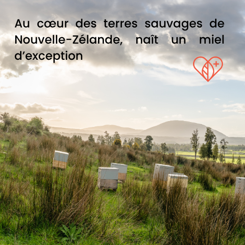 Miel de Manuka 20+ (MGO 850+) 250 g