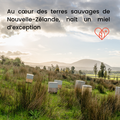 Miel de Manuka 20+ (MGO 850+) 250 g